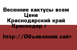 Весенние кактусы всем! › Цена ­ 100 - Краснодарский край, Краснодар г.  »    